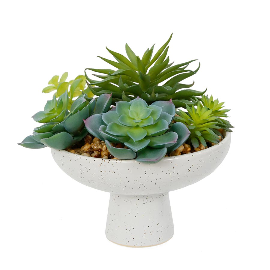 Arreglo suculentas con macetero de ceramica 20cm
