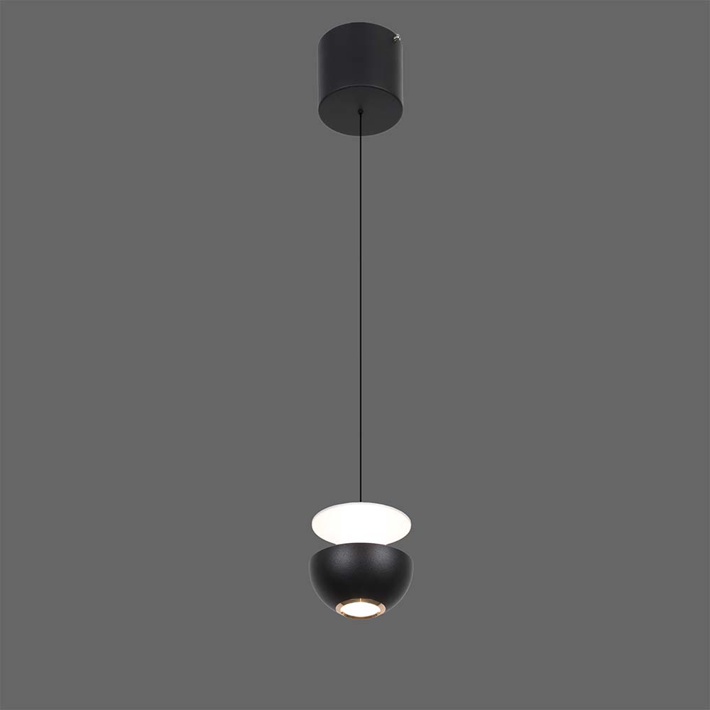 Lámpara LED colgante Apple negra con luz cálida 6W